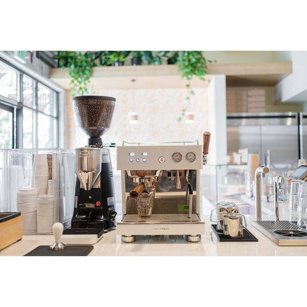 Ascaso Baby T Plus Automatic 1 Group Espresso Machine With Thermodynamic Technology 120V (Inox)