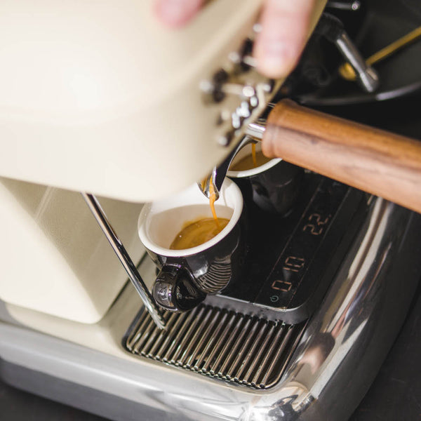 Ascaso Dream PID Programmable Home Espresso Machine W/ Volumetric Controls 120V (Sweet Cream)