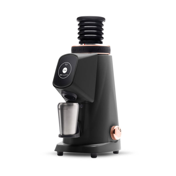 Ascaso Fiorenzato AllGround ProBrew Filter Coffee Grinder - Black W/ Rose Gold