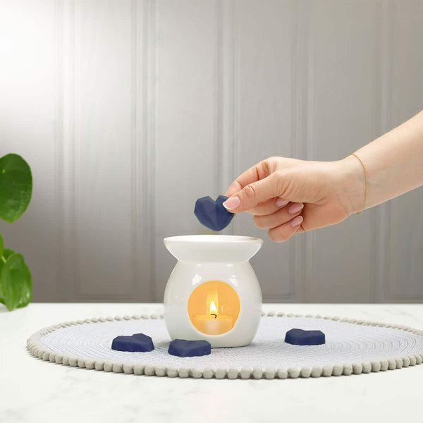 Ashleigh & Burwood Enchanted Forest Wax Melts