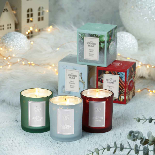 Ashleigh & Burwood Frosted Holly Scented Jar Candle