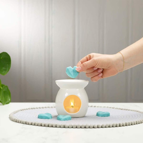 Ashleigh & Burwood Sea Spray Wax Melts