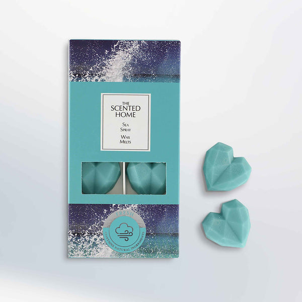 ashleigh & burwood Sea Spray Wax Melts