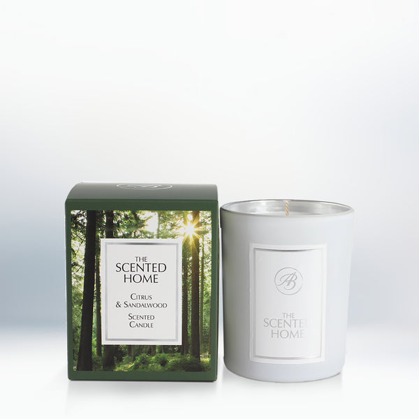 ashleigh & burwood Citrus & Sandalwood Scented Jar Candle