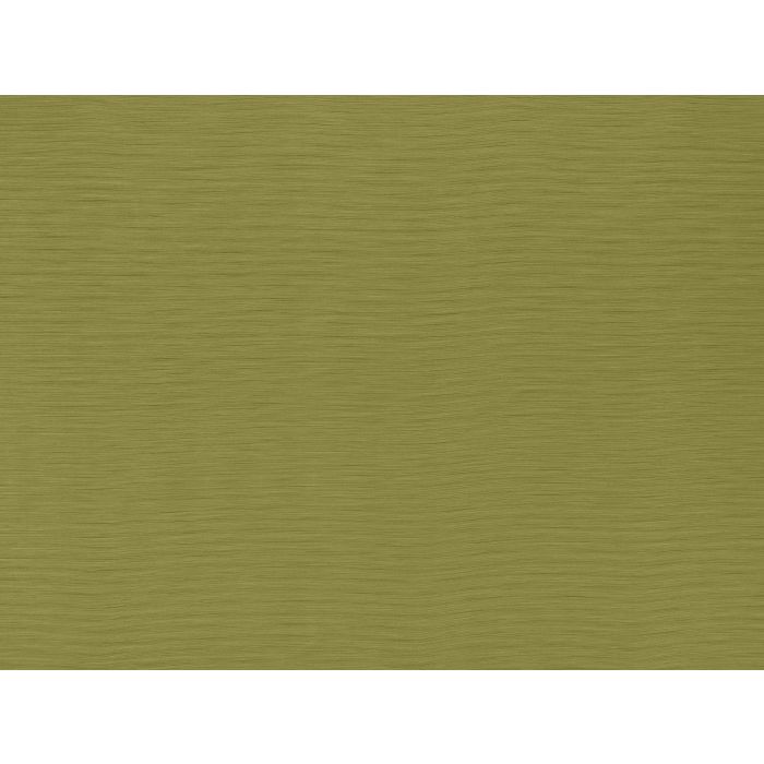 Ashley Wilde Ashley Wilde Darwin Collection Austen