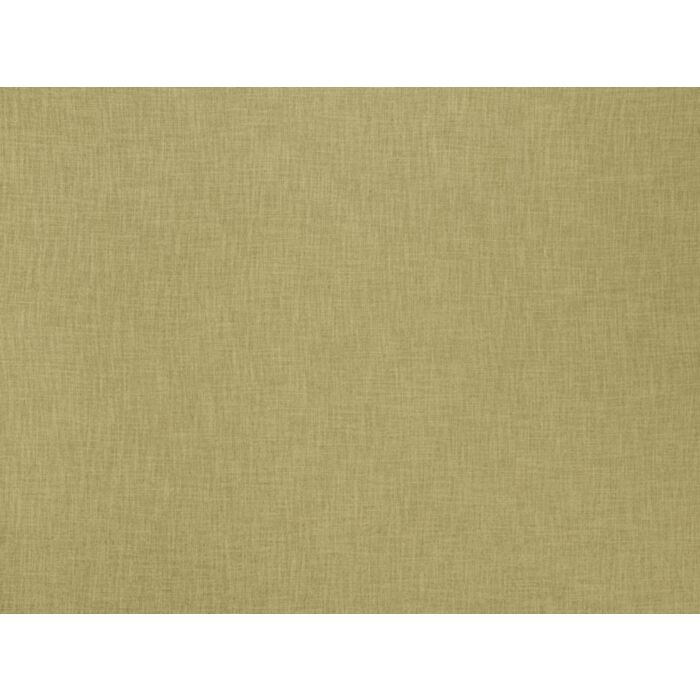 Ashley Wilde Ashley Wilde Darwin Collection Bronte