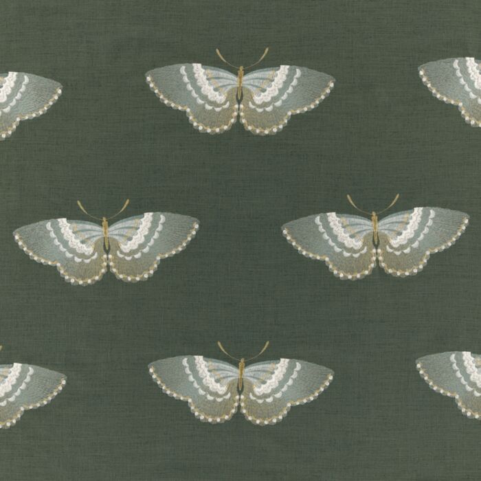 Ashley Wilde KAI Zen Gardens Kano