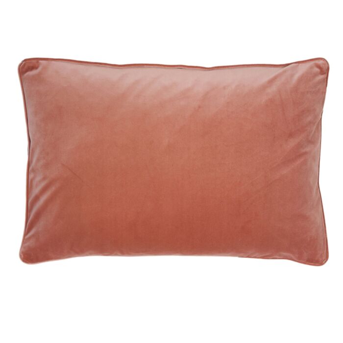 ashley wilde Clarissa Hulse Teasel Shell 40x60cm Feather Cushion