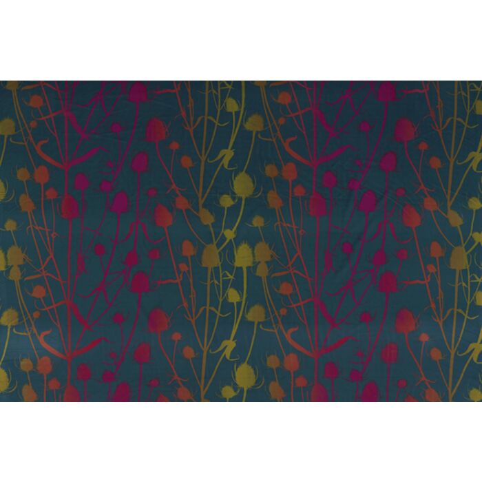 Ashley Wilde Clarissa Hulse Wiltshire Meadow Collection Teasel