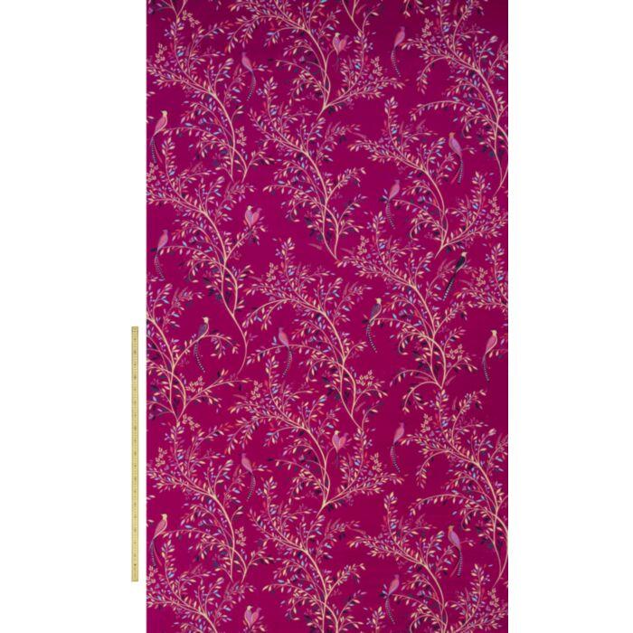 Ashley Wilde Sara Miller Sara Miller Volume 1 Birds Of Paradise