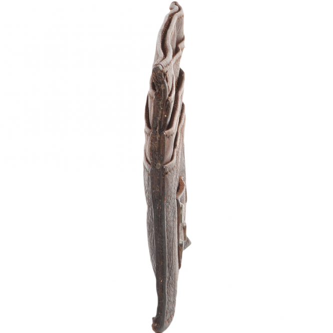 Ashwood Leather Small Vintage Effect 6 Card Holder Rust : 1778