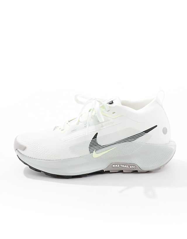 Asos Nike Running ReactX Pegasus Trail 5 Gore-TEX Trainers In Light Silver