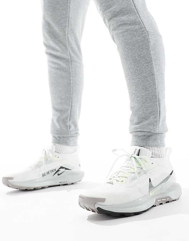 Asos Nike Running ReactX Pegasus Trail 5 Gore-TEX Trainers In Light Silver