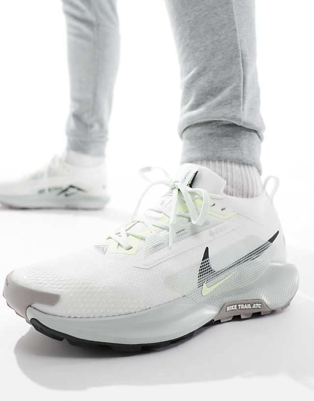 asos Nike Running ReactX Pegasus Trail 5 Gore-TEX trainers in light silver