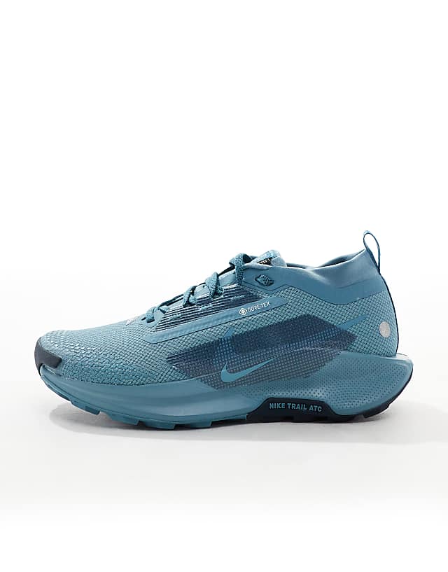 Asos Nike Running ReactX Pegasus Trail 5 GORE-TEX Trainers In Blue