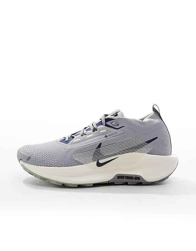 Asos Nike Running ReactX Pegasus Trail 5 Gore-Tex Trainers In Grey