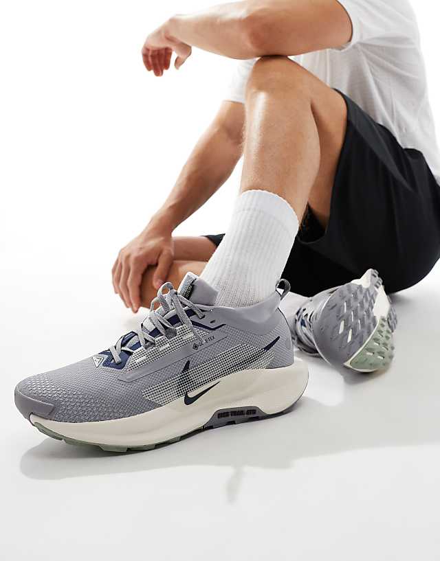 asos Nike Running ReactX Pegasus Trail 5 Gore-Tex trainers in grey