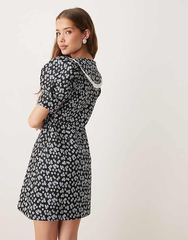 Asos Sister Jane Contrast Oversized Collar Mini Dress In Black Floral