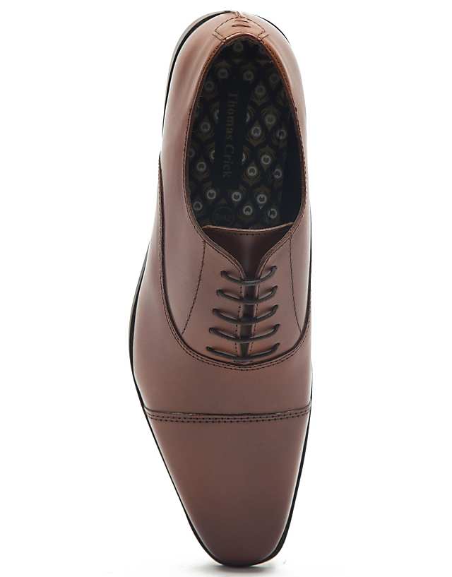 Asos THOMAS CRICK FAGEN Oxford Formal Leather Lace-up Shoes In Tan