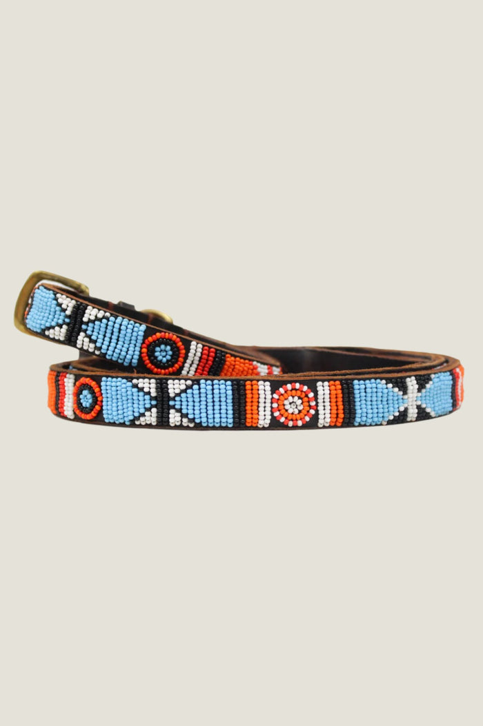 Aspiga Arrow And Disc Dog Collar Thin