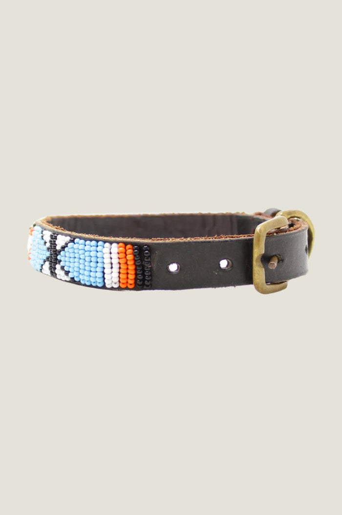 Aspiga Arrow And Disc Dog Collar Thin