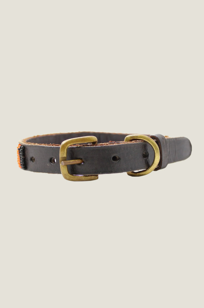 Aspiga Arrow And Disc Dog Collar Thin