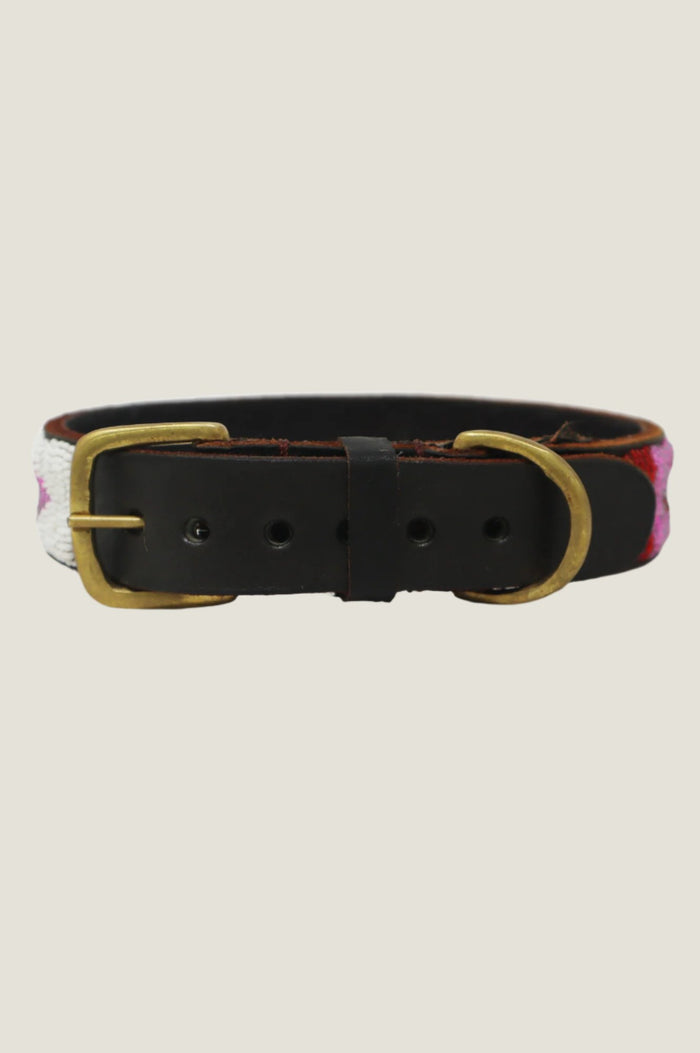 Aspiga Dog Collar