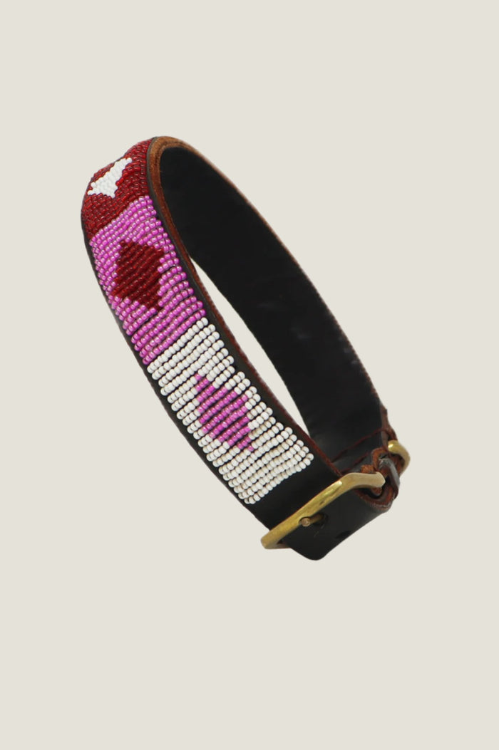 Aspiga Dog Collar