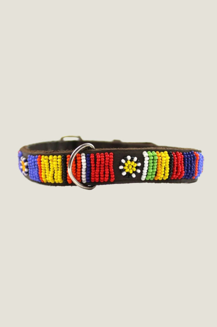 aspiga Dog Collar