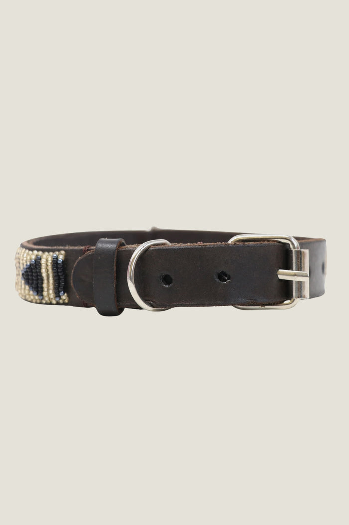 Aspiga Dog Collar