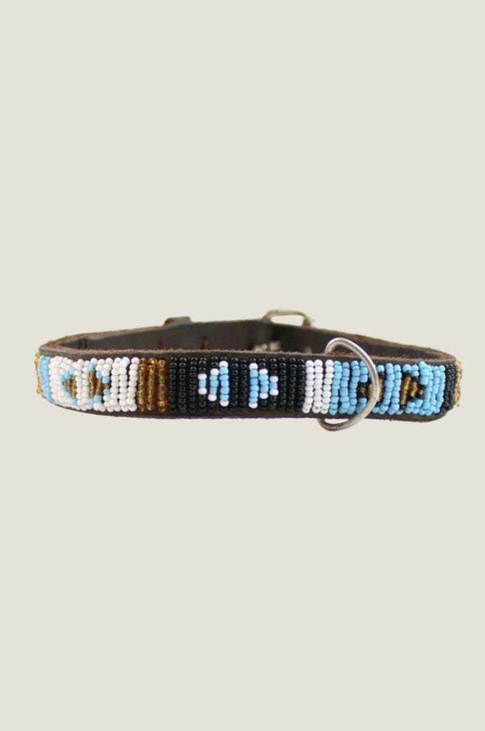 aspiga Dog Collar
