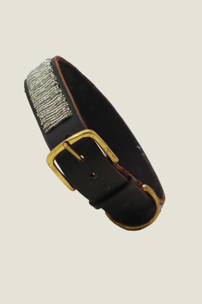 Aspiga Dog Collar