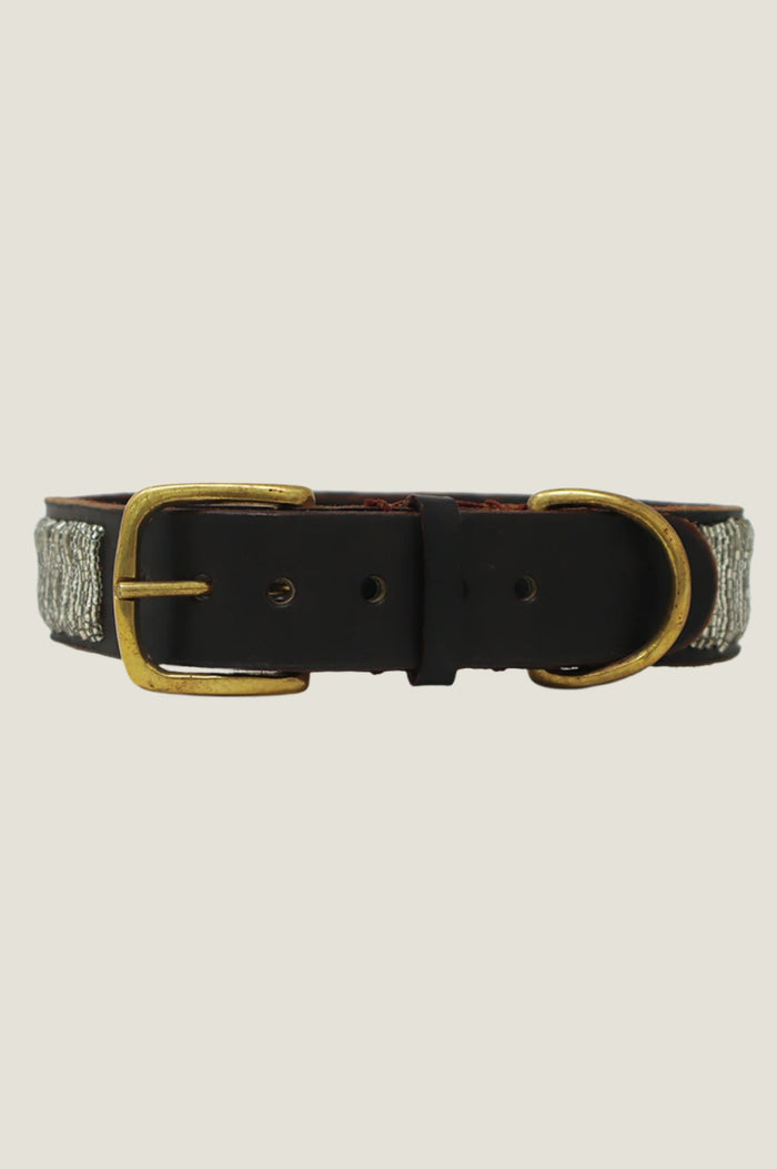 aspiga Dog Collar