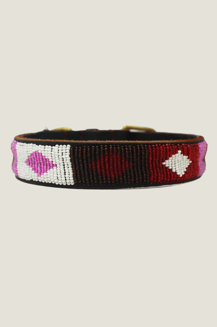 aspiga Dog Collar