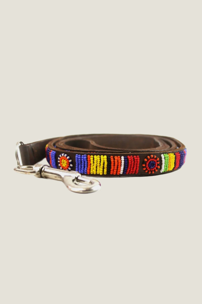aspiga Dog Lead