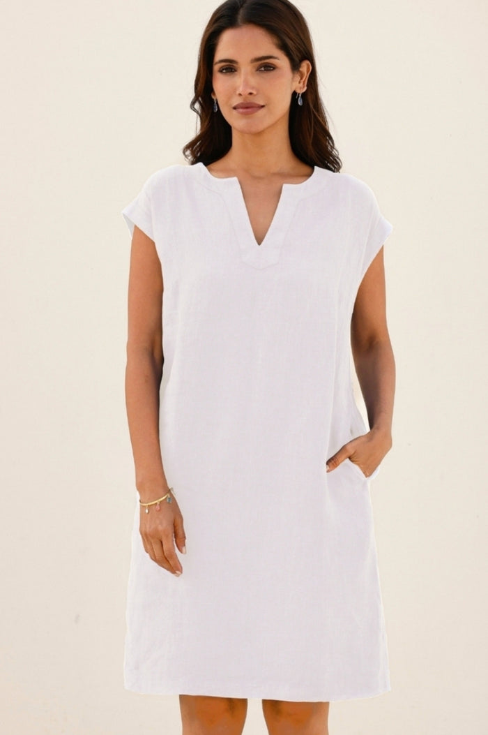 aspiga Dori Linen Dress