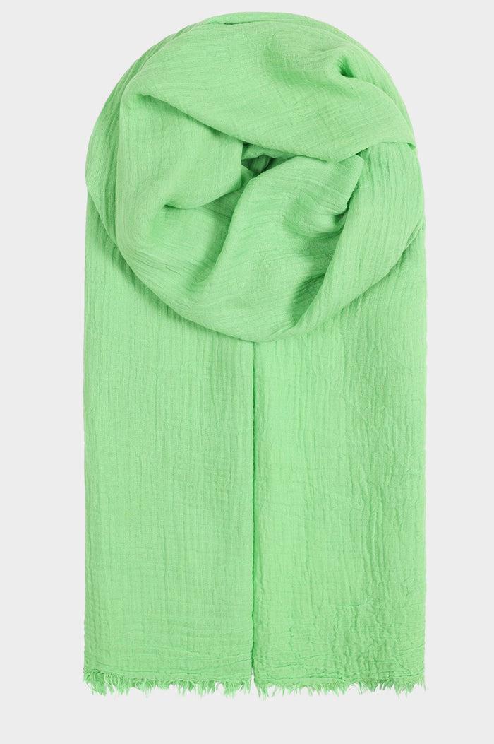 aspiga Organic Cotton Scarf