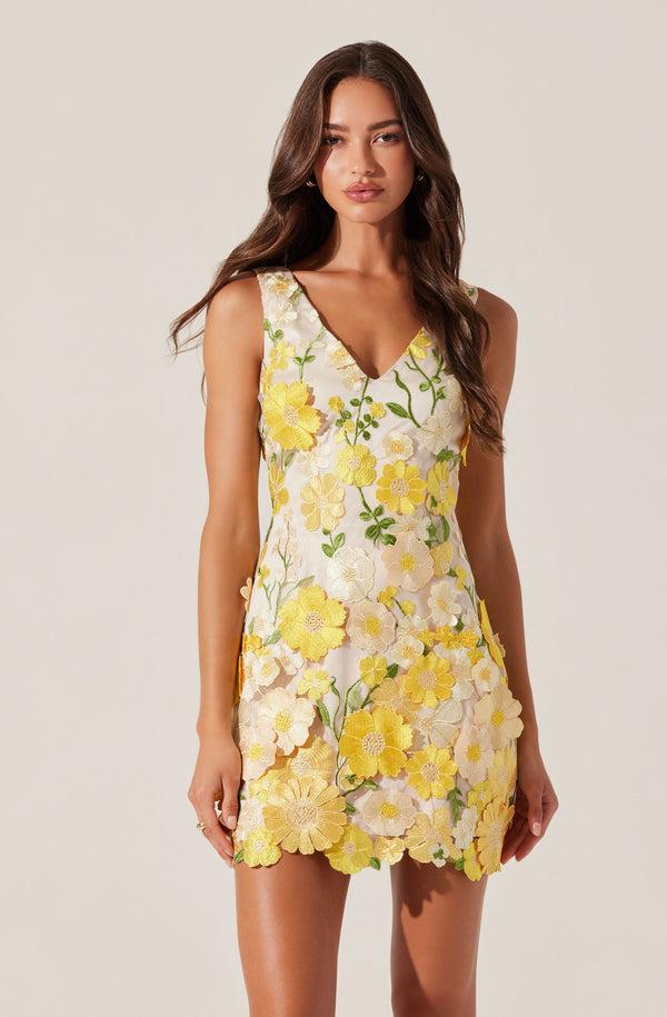 Astr The Label Aisha Floral Appliqué Mini Dress
