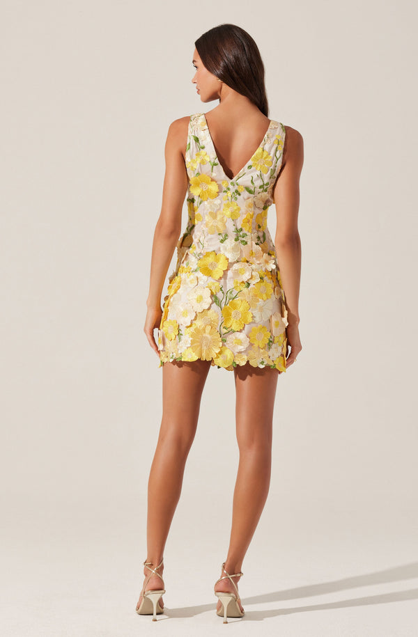 Astr The Label Aisha Floral Appliqué Mini Dress