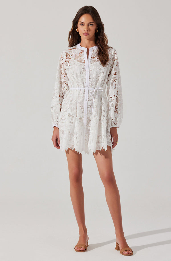 Astr The Label Celie Crochet Lace Mini Dress