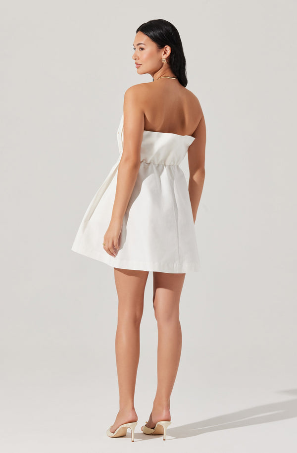 Astr The Label Clemira Pleated Mini Dress