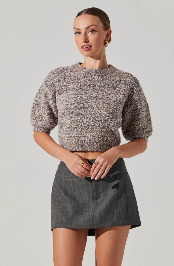 astr the label Collete Marled Cropped Sweater