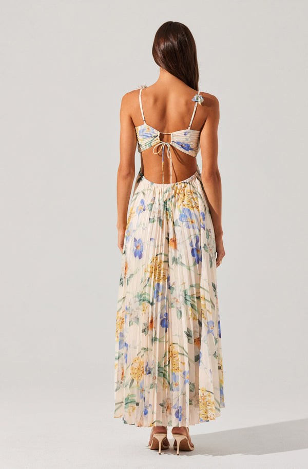 Astr The Label Emese Floral Pleated Maxi Dress