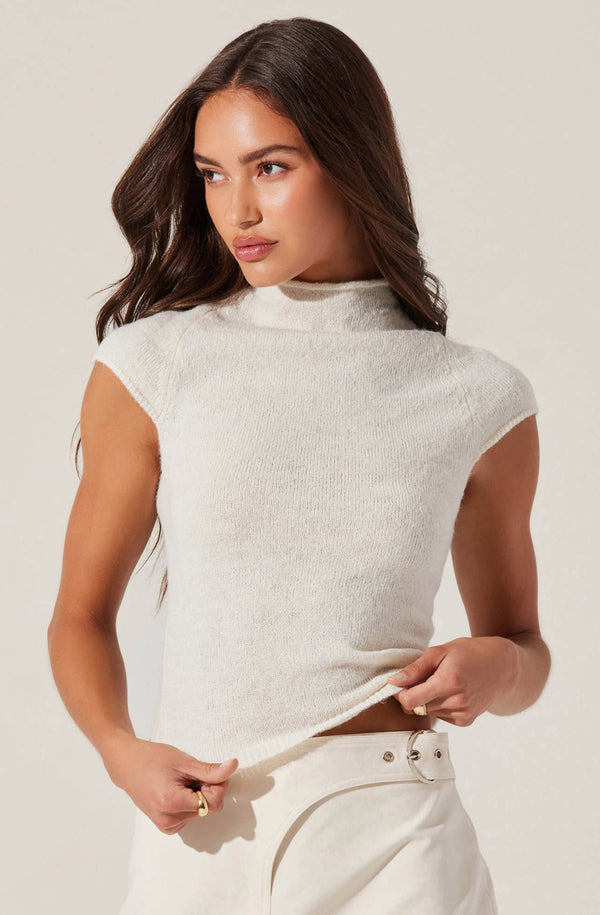 astr the label Ileane Mock Neck Sweater Top