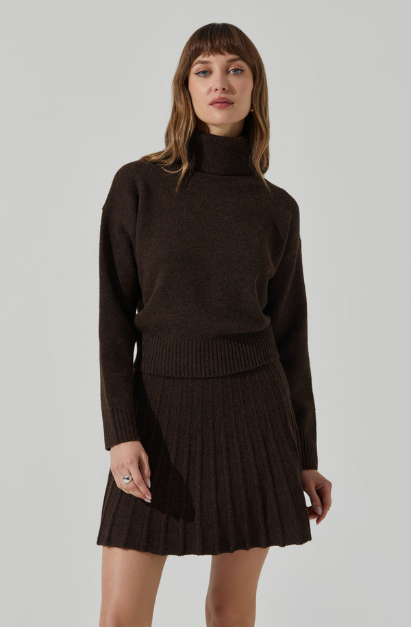 astr the label Marceline Turtleneck Sweater