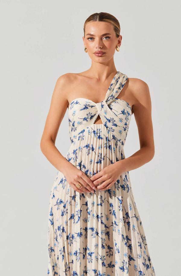 Astr The Label Rasya Pleated Floral Maxi Dress