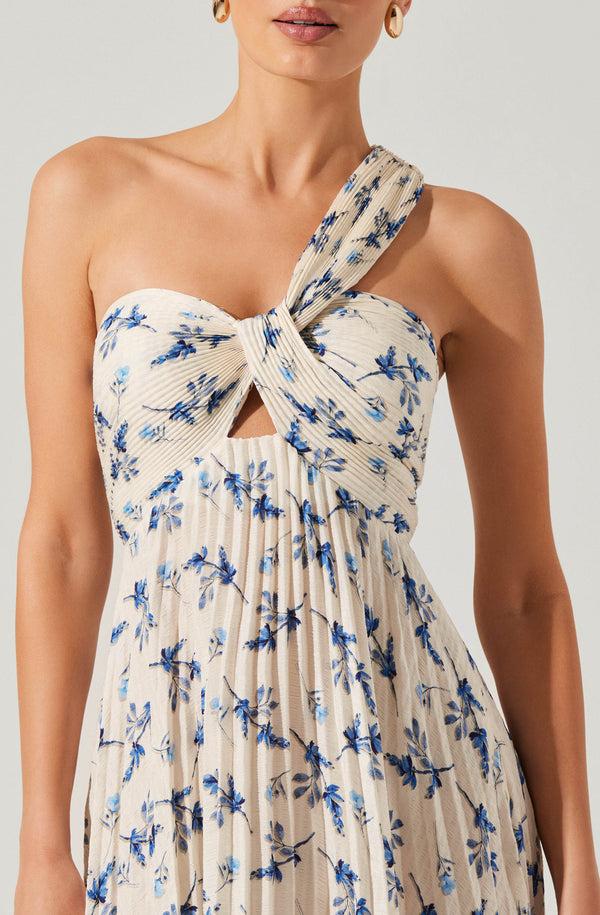Astr The Label Rasya Pleated Floral Maxi Dress