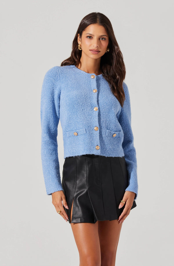 astr the label Teddy Cardigan Sweater