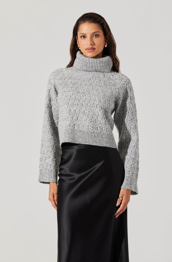 astr the label Textured Boxy Turtleneck Sweater