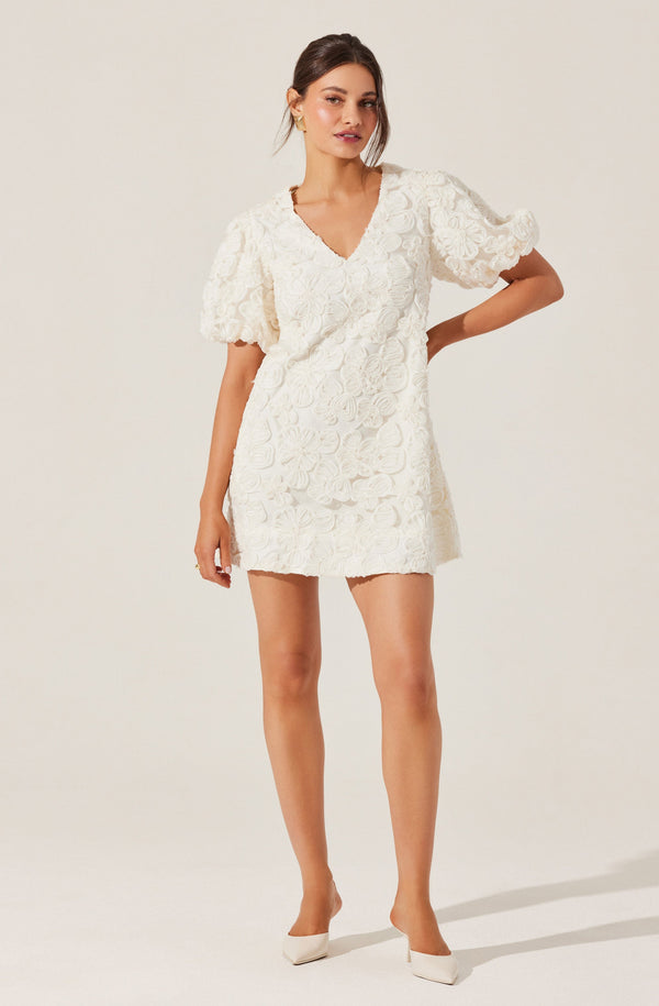 Astr The Label Lakelyn Floral Embroidered Mini Dress